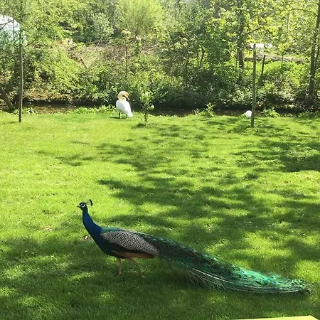 Superbe Gite Au Bord De L'eau, Marais Audomarois Casa vacanze Serques